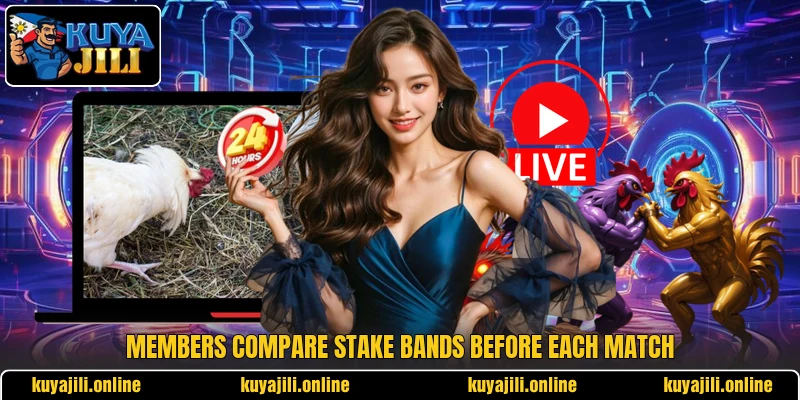 Members compare stake bands before each match Members compare stake bands before each match